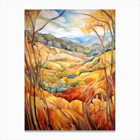 Autumn National Park Painting Muir Woods National Park Usa Canvas Print