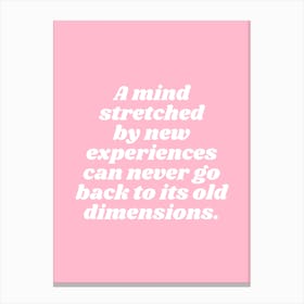 A Mind Stretched By New Experiences Can Never Go Back To Its Old Dimensions (Pink tone) Canvas Print