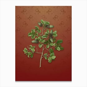 Vintage Kermes Oak Botanical on Falu Red Pattern n.2258 Canvas Print