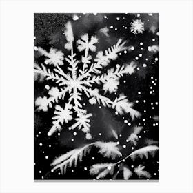 Nature, Snowflakes, Black & White 4 Canvas Print