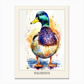 Mallard Duck Colourful Watercolour 1 Poster Canvas Print