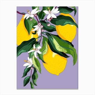 Juicy Lemon Blossoms Canvas Print