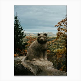 Cat On A Rock Canvas Print