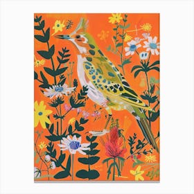 Spring Birds Hoopoe 1 Canvas Print