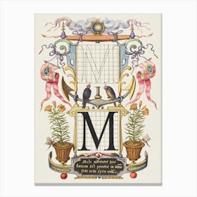 Guide For Constructing The Letter M From Mira Calligraphiae Monumenta, Joris Hoefnagel Canvas Print