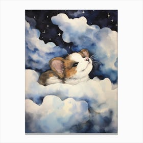 Baby Ferret 1 Sleeping In The Clouds Canvas Print