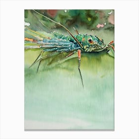 Spiny Lobster Storybook Watercolour Canvas Print