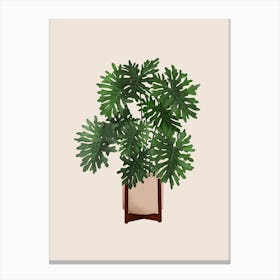 Philodendron Selloum Canvas Print