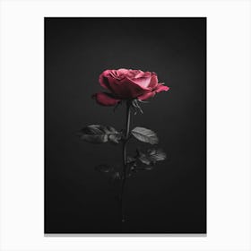 Black Rose 14 Canvas Print