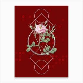Vintage Anemone Flowered Sweetbriar Rose Botanical with Geometric Line Motif and Dot Pattern n.0078 Canvas Print