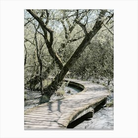 Wooden Bridge In The Woods In The Moerputten In Den Bosch Canvas Print