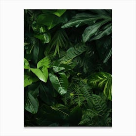 Jungle Background 1 Canvas Print