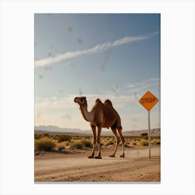 Camel Crossing Road Canvas Print