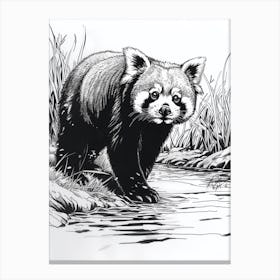 Red Panda Standing On A Riverbank Ink Illustration 3 Canvas Print