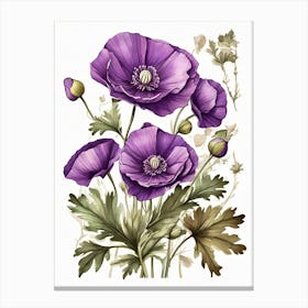 Purple Poppy Mallow Wildflower Vintage Botanical Canvas Print