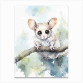 Light Watercolor Painting Of A Sugar Glider 1 Canvas Print