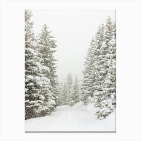 Hike in the Snowy Forest | Retro | Austria Canvas Print