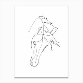 Horse 01 Canvas Print