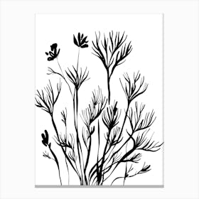 Black And White Drawing Of Plants Canvas Print