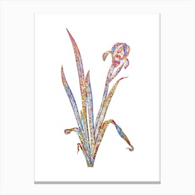 Stained Glass Crimean Iris Mosaic Botanical Illustration on White 1 Canvas Print