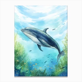 Minke Whale Realistic Illustration 2 Canvas Print
