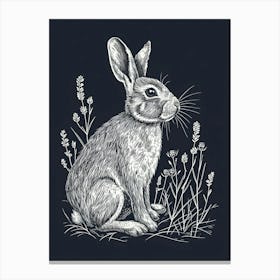 Netherland Dwarf Rabbit Minimalist Illustration 2 Canvas Print