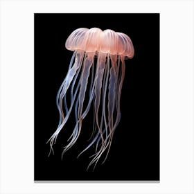 Box Jellyfish Luminous 4 Canvas Print