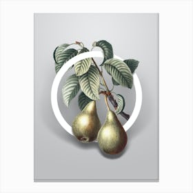 Vintage Pear Minimalist Flower Geometric Circle on Soft Gray n.0037 Canvas Print