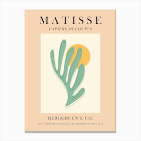 Floral matisse 16 Canvas Print