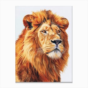 Barbary Lion Portrait Close Up Clipart 1 Canvas Print
