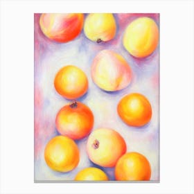 Oranges 6 Fruit Canvas Print