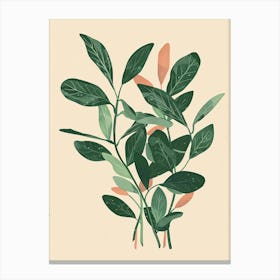 Wandering Jew Plant Minimalist Illustration 2 Canvas Print