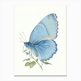 Common Blue Butterfly Vintage Pastel 1 Canvas Print