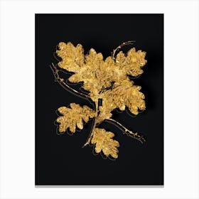 Vintage English Oak Botanical in Gold on Black n.0337 Canvas Print