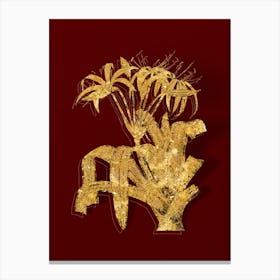 Vintage Crinum Erubescens Botanical in Gold on Red n.0374 Canvas Print