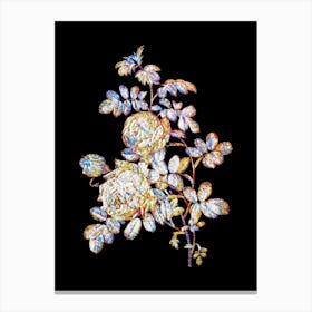 Stained Glass Vintage Sulphur Rose Mosaic Botanical Illustration on Black n.0204 Canvas Print