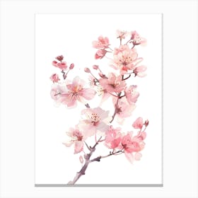 Watercolor Cherry Blossoms 2 Canvas Print