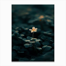 Flower In The Dark 58 Canvas Print