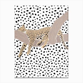 Leopard Sleeping On A Branch 2 Canvas Print