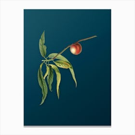 Vintage Peach Botanical Art on Teal Blue n.0817 Canvas Print