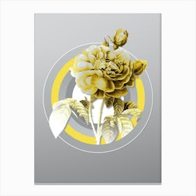 Botanical Gallic Rose in Yellow and Gray Gradient n.274 Canvas Print