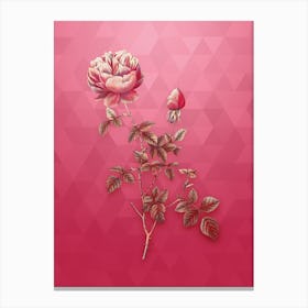 Vintage Pink Autumn China Rose Botanical in Gold on Viva Magenta n.0783 Canvas Print