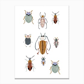 Bugs Canvas Print