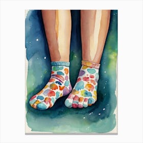 Socks Canvas Print