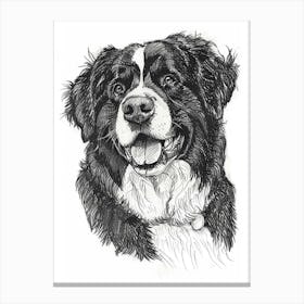 Bernese Mountain Dog Line Sketch 2 Canvas Print