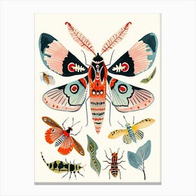 Colourful Insect Illustration Moth 18 Canvas Print