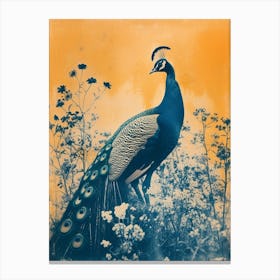 Vintage Orange & Blue Peacock In The Wild 2 Canvas Print