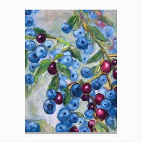 Huckleberry 2 Classic Fruit Canvas Print
