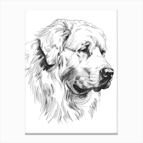 Great Pyrenees Dog Line Sketch Canvas Print