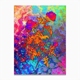 Rose of the Hedges Botanical in Acid Neon Pink Green and Blue n.0193 Canvas Print